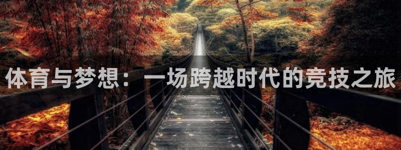 意昂2平台：体育与梦想：一场跨越时代的竞技之旅