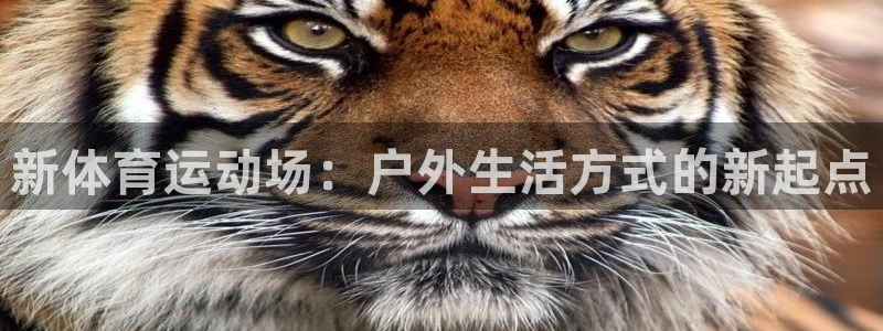 意昂22登录：新体育运动场：户外生活方式的新起点