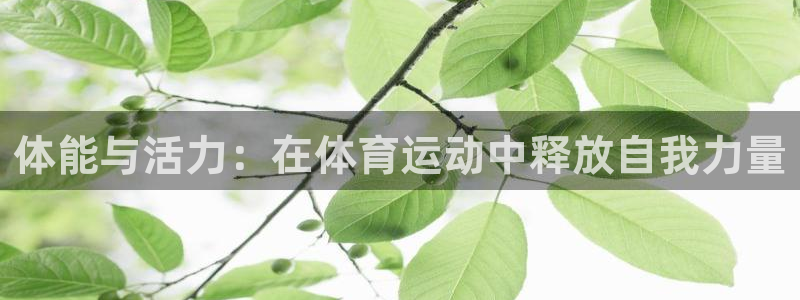 意昂2体育：体能与活力：在体育运动中释放自我力量