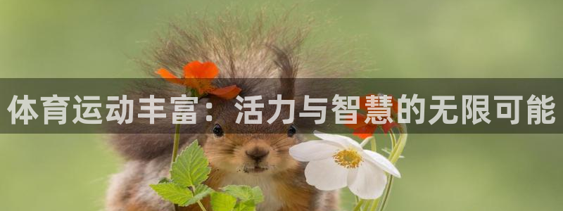 意昂2主管：体育运动丰富：活力与智慧的无限可能