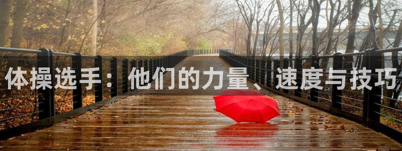 意昂2集团股票：体操选手：他们的力量、速度与技巧