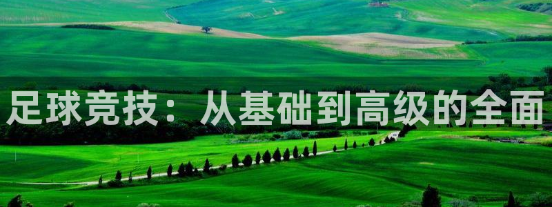 意昂2：足球竞技：从基础到高级的全面