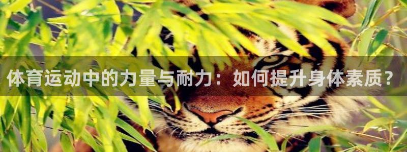 意昂2集团总部：体育运动中的力量与耐力：如何提升身体素质？