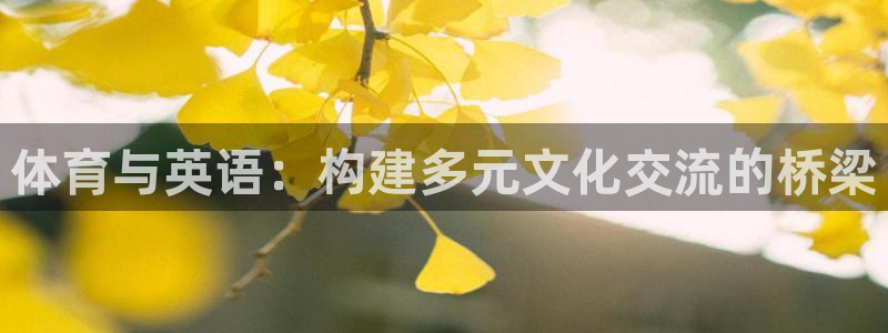意昂2体育官网登录：体育与英语：构建多元文化交流的桥梁