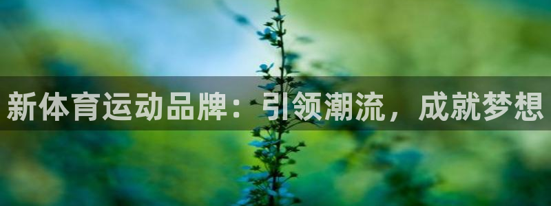 意昂22平台：新体育运动品牌：引领潮流，成就梦想