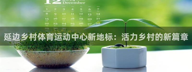 意昂22注册：延边乡村体育运动中心新地标：活力乡村的新篇章