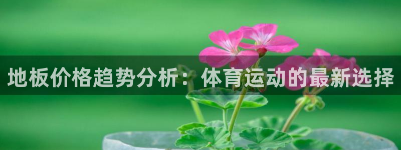 意昂招商：地板价格趋势分析：体育运动的最新选择