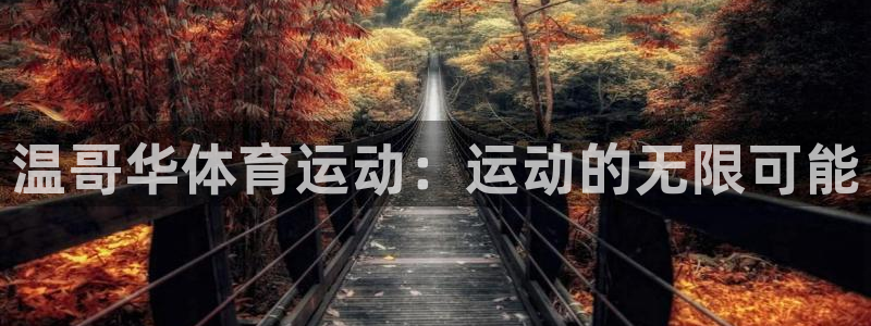 意昂2代理注册官网入口：温哥华体育运动：运动的无限可能