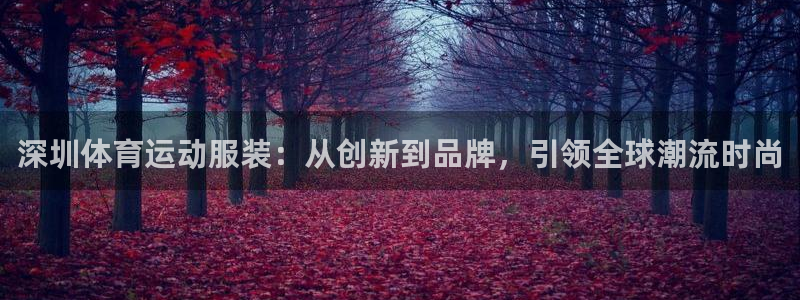 意昂2平台登录：深圳体育运动服装：从创新到品牌，引领全球潮流时尚