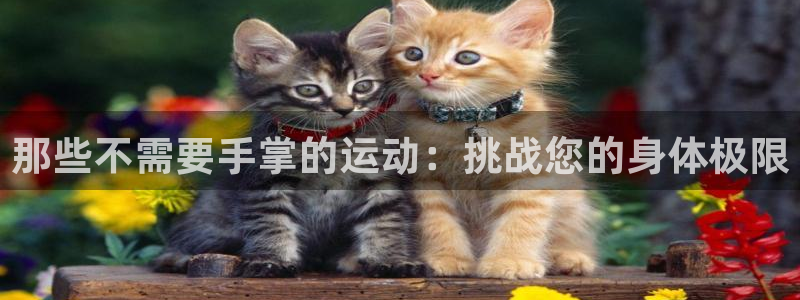 意昂凯捷注册：那些不需要手掌的运动：挑战您的身体极限