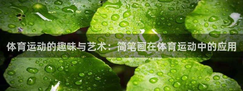 意昂3平台：体育运动的趣味与艺术：简笔画在体育运动中的应用