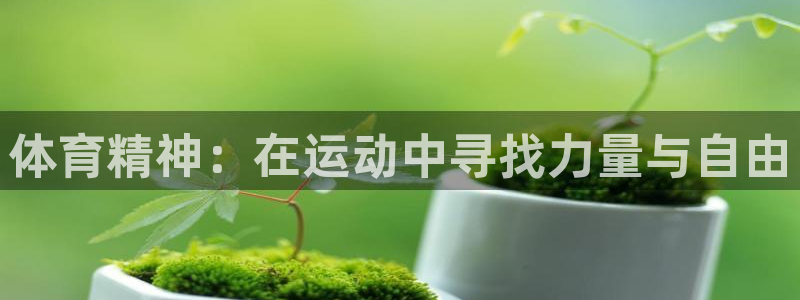 意昂2体育凯捷平台主管：体育精神：在运动中寻找力量与自由
