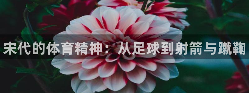 东莞市意昂电子科技有限公司：宋代的体育精神：从足球到射箭与蹴鞠