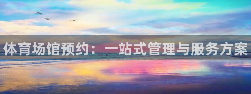 上海意昂2汽车电子有限公司：体育场馆预约：一站式管理与服务方案
