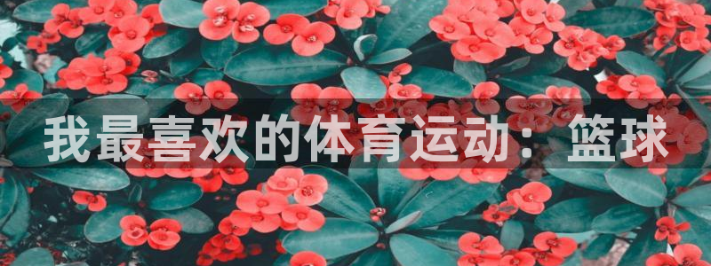 意昂平台：我最喜欢的体育运动：篮球
